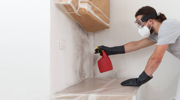 Professional Bathroom Mold Removal technician working in Lewisburg, KY